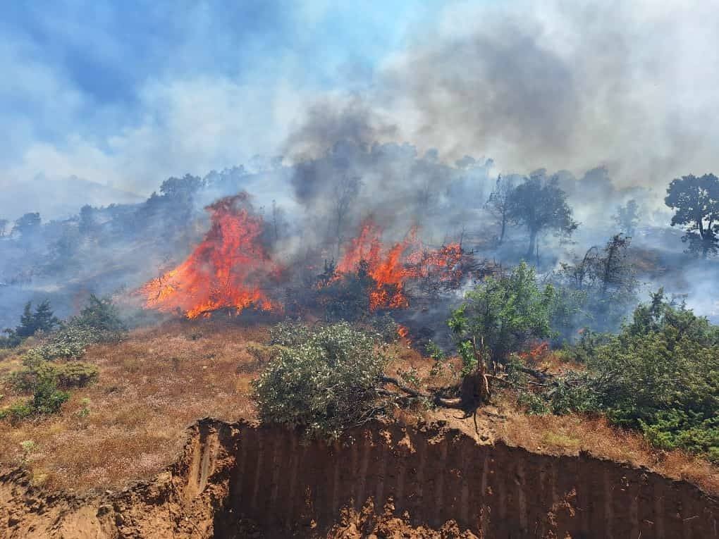 Bingöl'ün Genç ve Kiğı ilçelerinde orman yangını 18